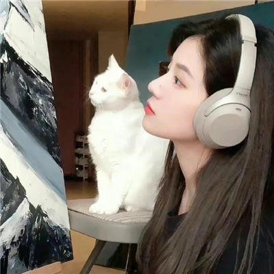 陌生地